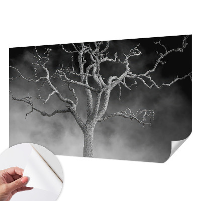 Samolepilna fototapeta z motivom meglenega drevesa