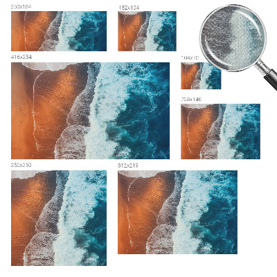 Samolepilna fototapeta Morska simbioza