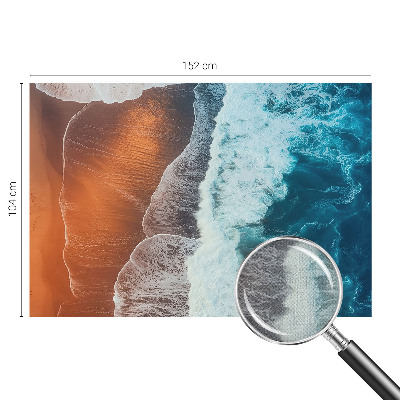 Samolepilna fototapeta Morska simbioza