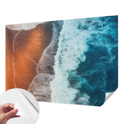 Samolepilna fototapeta Morska simbioza