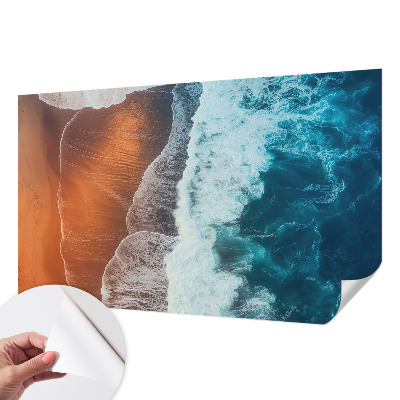 Samolepilna fototapeta Morska simbioza