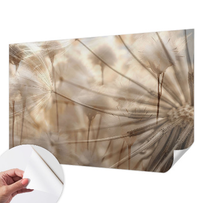 Samolepilna fototapeta za dnevno sobo Nežni regrat