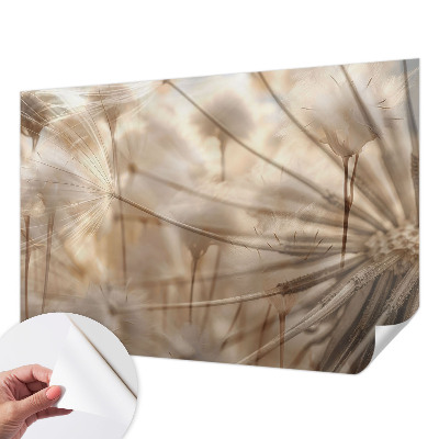 Samolepilna fototapeta za dnevno sobo Nežni regrat