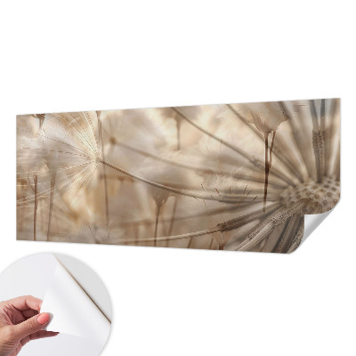 Samolepilna fototapeta za dnevno sobo Nežni regrat