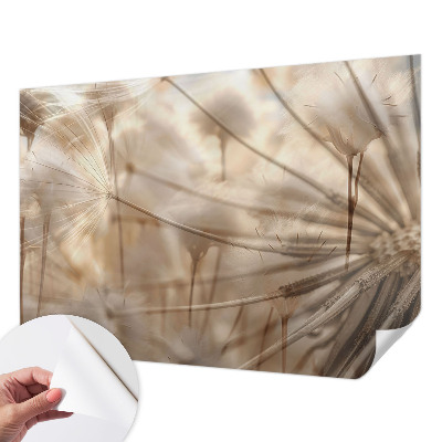 Samolepilna fototapeta za dnevno sobo Nežni regrat