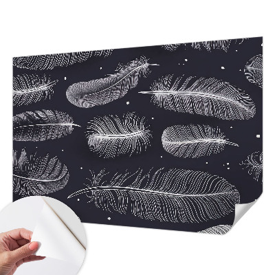 3D fototapeta z motivom nežnega perja