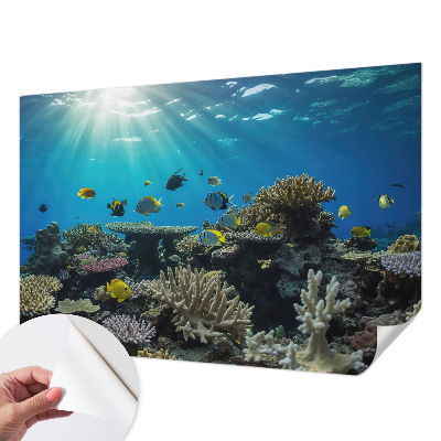 Otroška fototapeta Podvodni svet