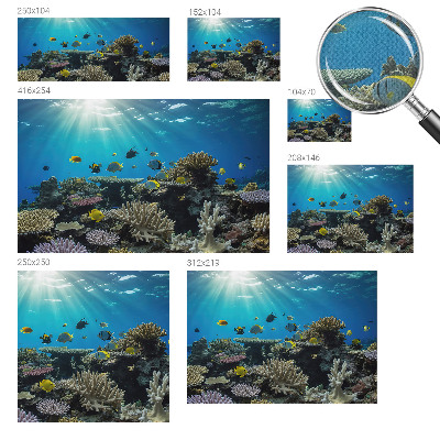 Otroška fototapeta Podvodni svet