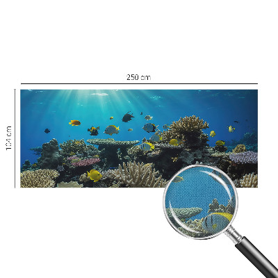 Otroška fototapeta Podvodni svet