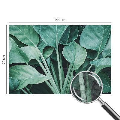 Samolepilna fototapeta z motivom zelene narave