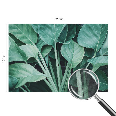 Samolepilna fototapeta z motivom zelene narave