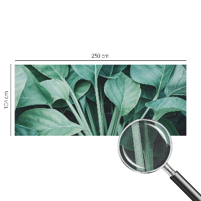 Samolepilna fototapeta z motivom zelene narave