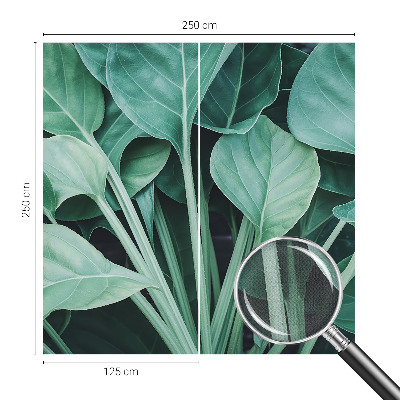 Samolepilna fototapeta Zelena narava