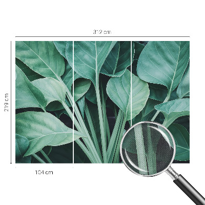 Samolepilna fototapeta z motivom zelene narave