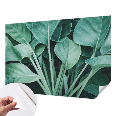 Samolepilna fototapeta z motivom zelene narave