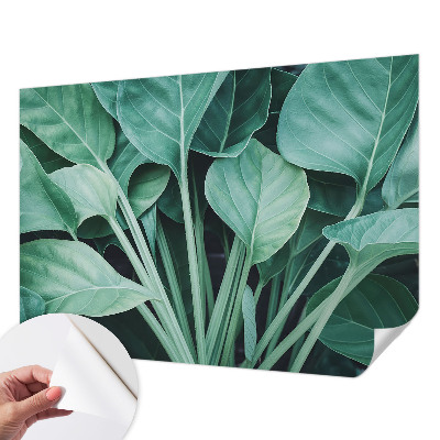 Samolepilna fototapeta z motivom zelene narave