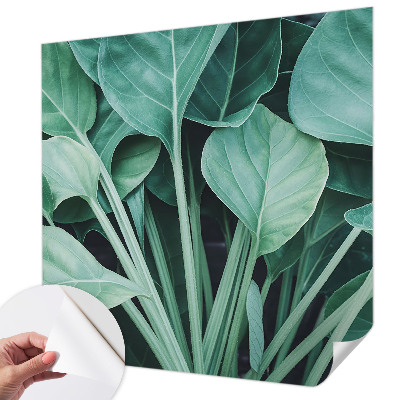 Samolepilna fototapeta z motivom zelene narave