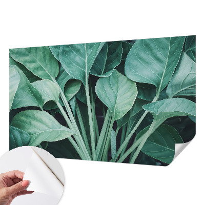 Samolepilna fototapeta z motivom zelene narave