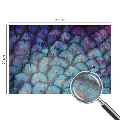 Otroška fototapeta Barvito perje