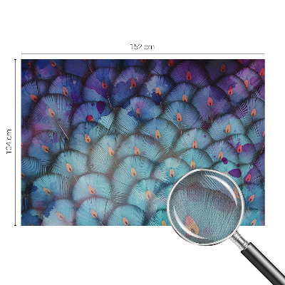 Otroška fototapeta Barvito perje