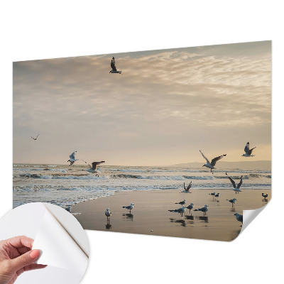 Fototapeta za otroško sobo z motivom mirnega obmorskega prizora