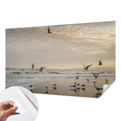 Fototapeta za otroško sobo z motivom mirnega obmorskega prizora