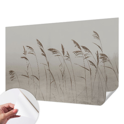 Fototapeta za otroško sobo Trave v megli