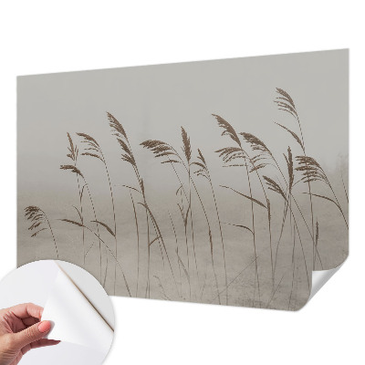 Fototapeta za otroško sobo Trave v megli