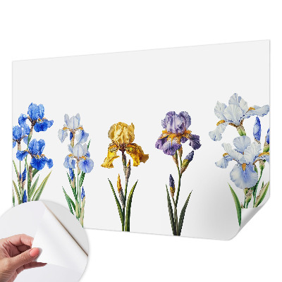 3D fototapeta s motivom cvetov perunik