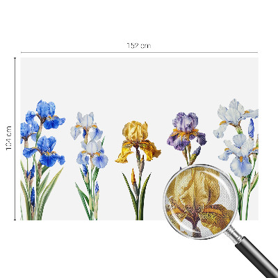 3D fototapeta Cvetovi perunik