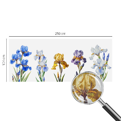 3D fototapeta Cvetovi perunik