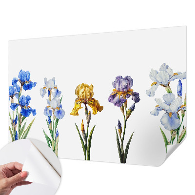 3D fototapeta Cvetovi perunik