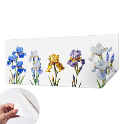 3D fototapeta s motivom cvetov perunik
