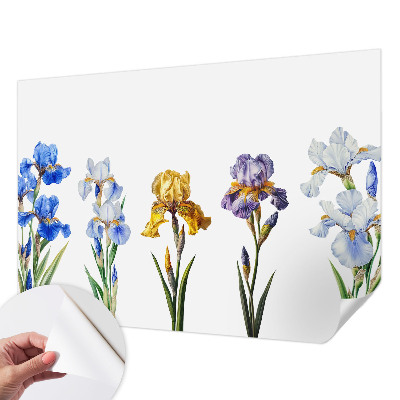 3D fototapeta Cvetovi perunik