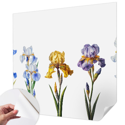 3D fototapeta Cvetovi perunik