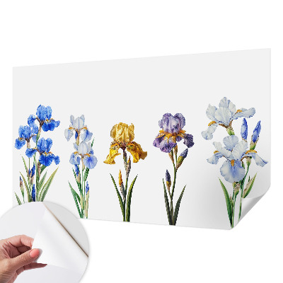 3D fototapeta s motivom cvetov perunik