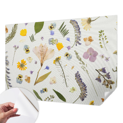 Samolepilna fototapeta Pomladno cvetje