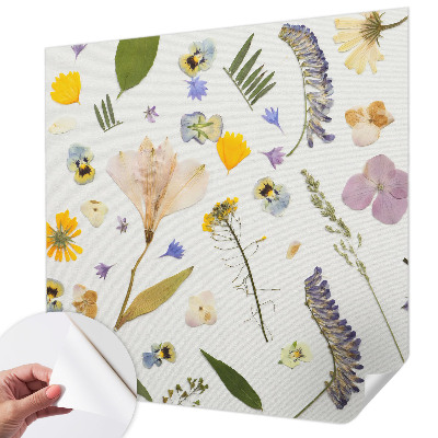 Samolepilna fototapeta Pomladno cvetje