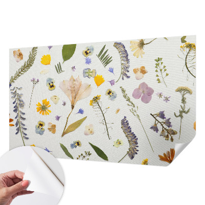 Samolepilna fototapeta Pomladno cvetje