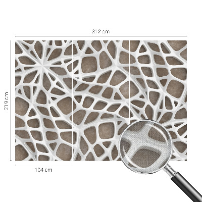 3D fototapeta Čipkasta mreža