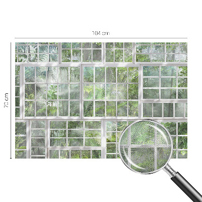 3D fototapeta Zeleni gozd