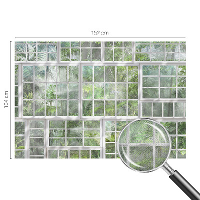 3D fototapeta Zeleni gozd