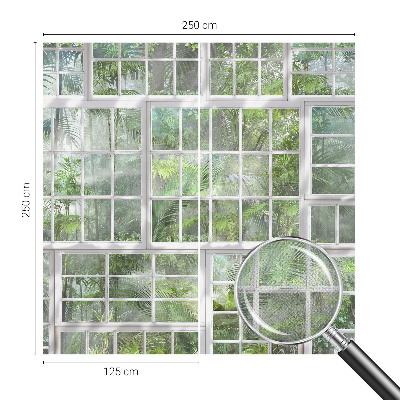 3D fototapeta Zeleni gozd