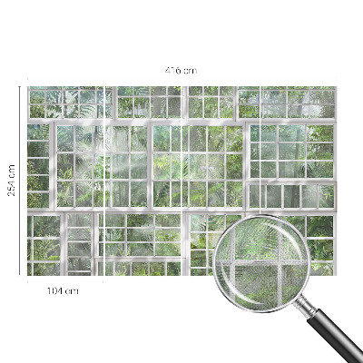 3D fototapeta Zeleni gozd