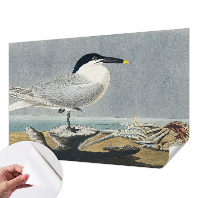 3D fototapeta z motivom ptic v elegantnem stilu