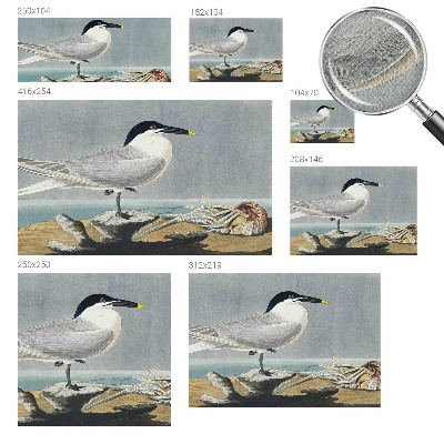 3D fototapeta z motivom ptic v elegantnem stilu