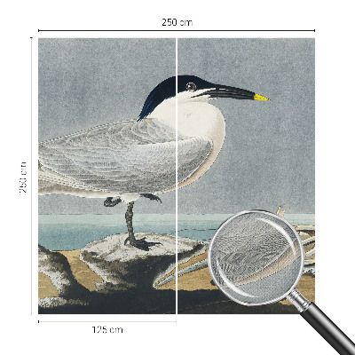 3D fototapeta z motivom ptic v elegantnem stilu