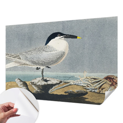 3D fototapeta z motivom ptic v elegantnem stilu