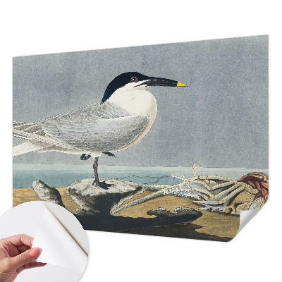 3D fototapeta z motivom ptic v elegantnem stilu