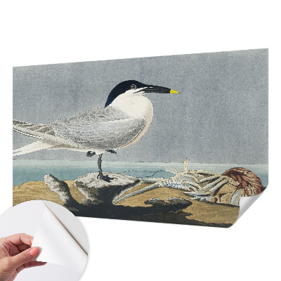 3D fototapeta z motivom ptic v elegantnem stilu